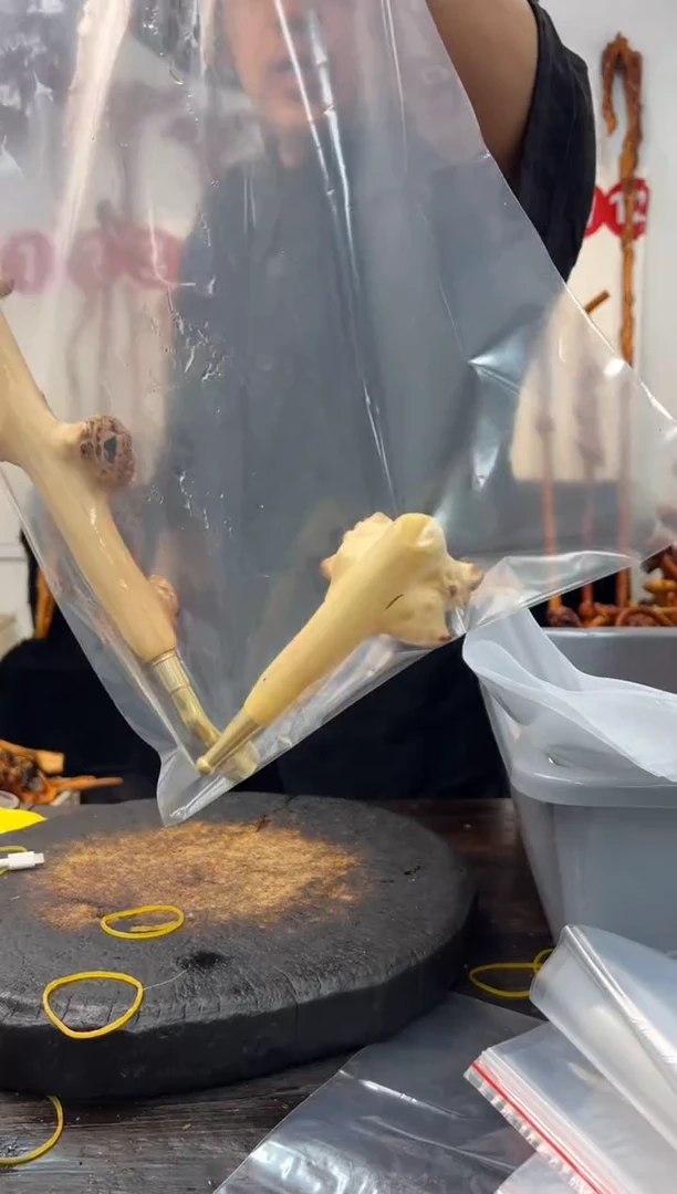 黑果木其他黑果木612