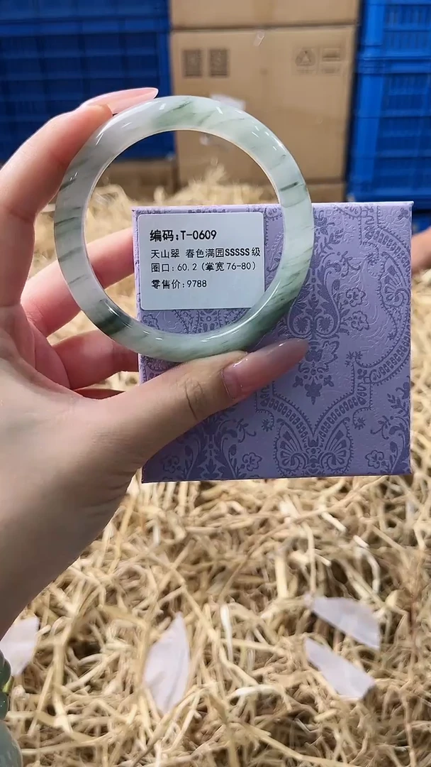 未镶嵌手镯石英质玉T-609