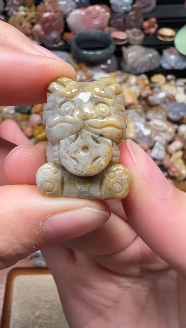 颈饰未镶嵌硅化珊瑚（珊瑚玉）757