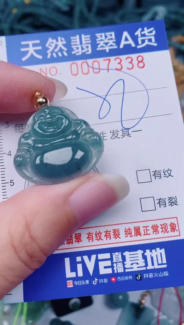 颈饰未镶嵌翡翠00007338