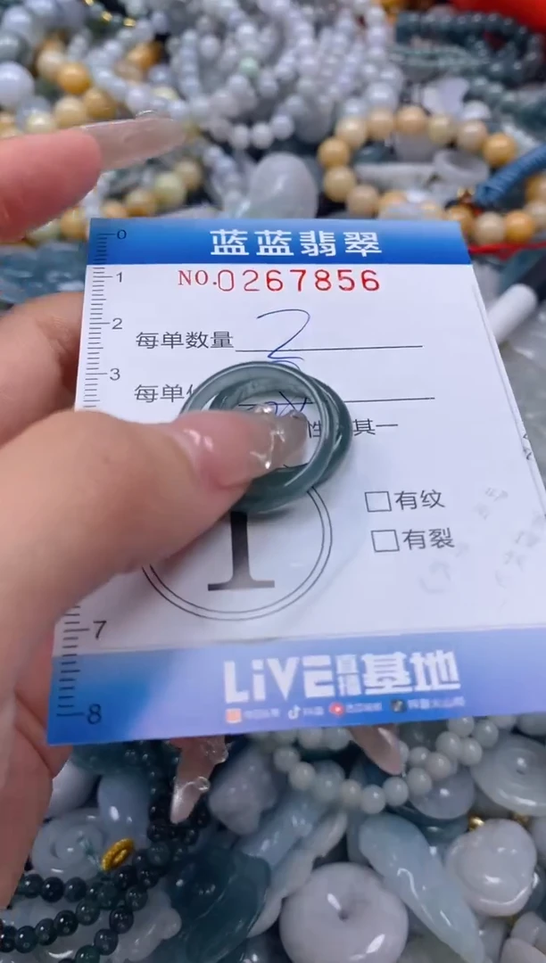 翡翠未镶嵌颈饰闪购0267856