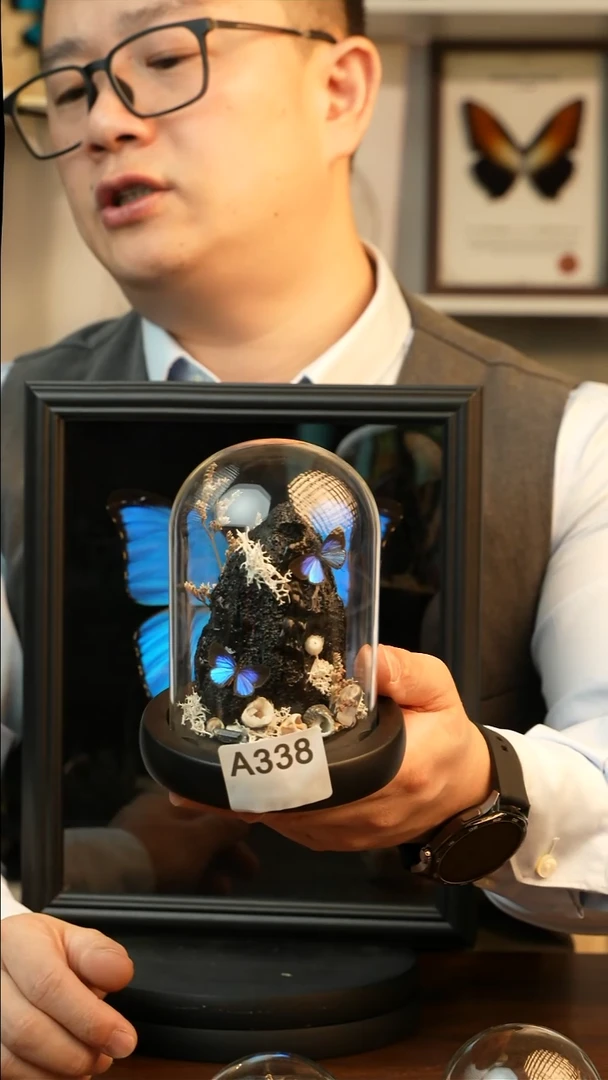 雅灰蝶双蝶组合玻璃球款A338