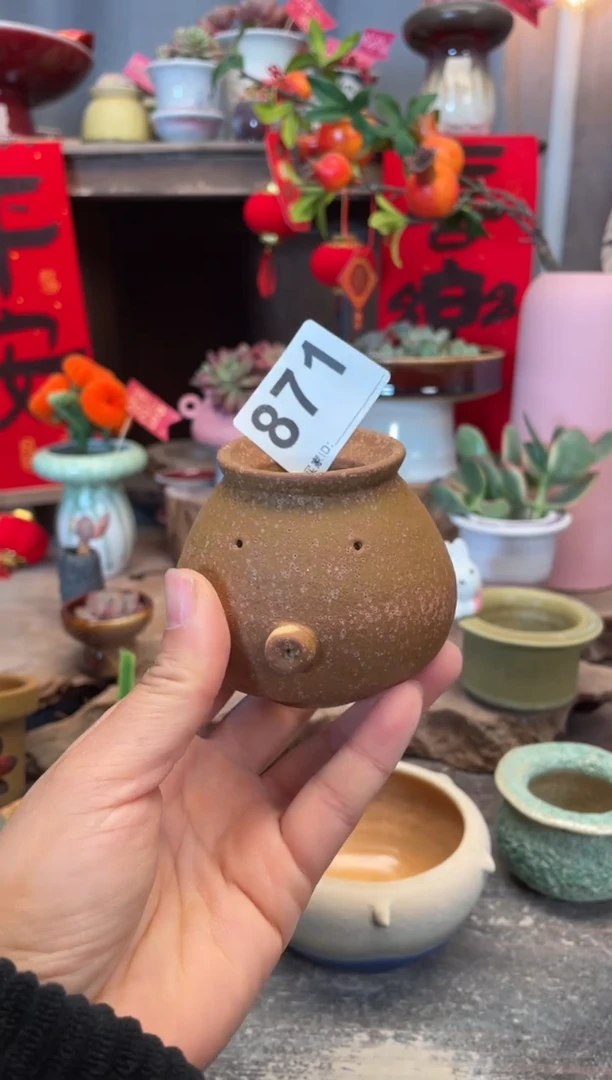 【闪购商品】摆件871知木小芳花盆