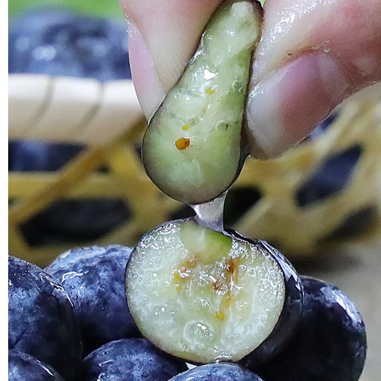 花香蓝莓超大25号新鲜头茬高山花香抚仙湖脆甜香生态香甜丹东