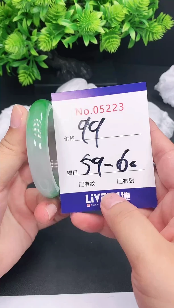 未镶嵌手镯翡翠5223