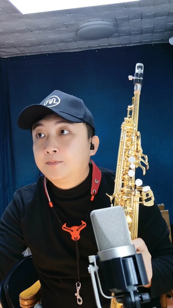 黄铜贝尔曼高音萨克斯33139GK签名款