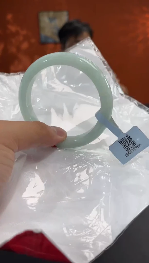 未镶嵌手镯翡翠15