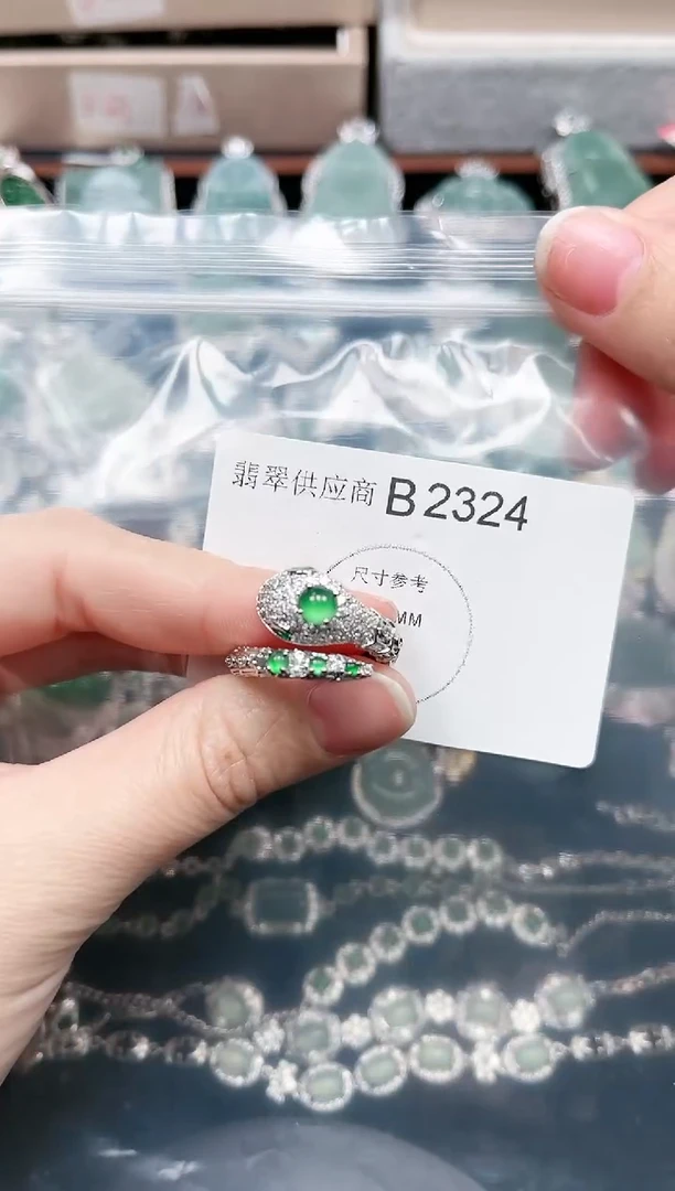 【闪购商品】翡翠颈饰未镶嵌2324赠皮绳