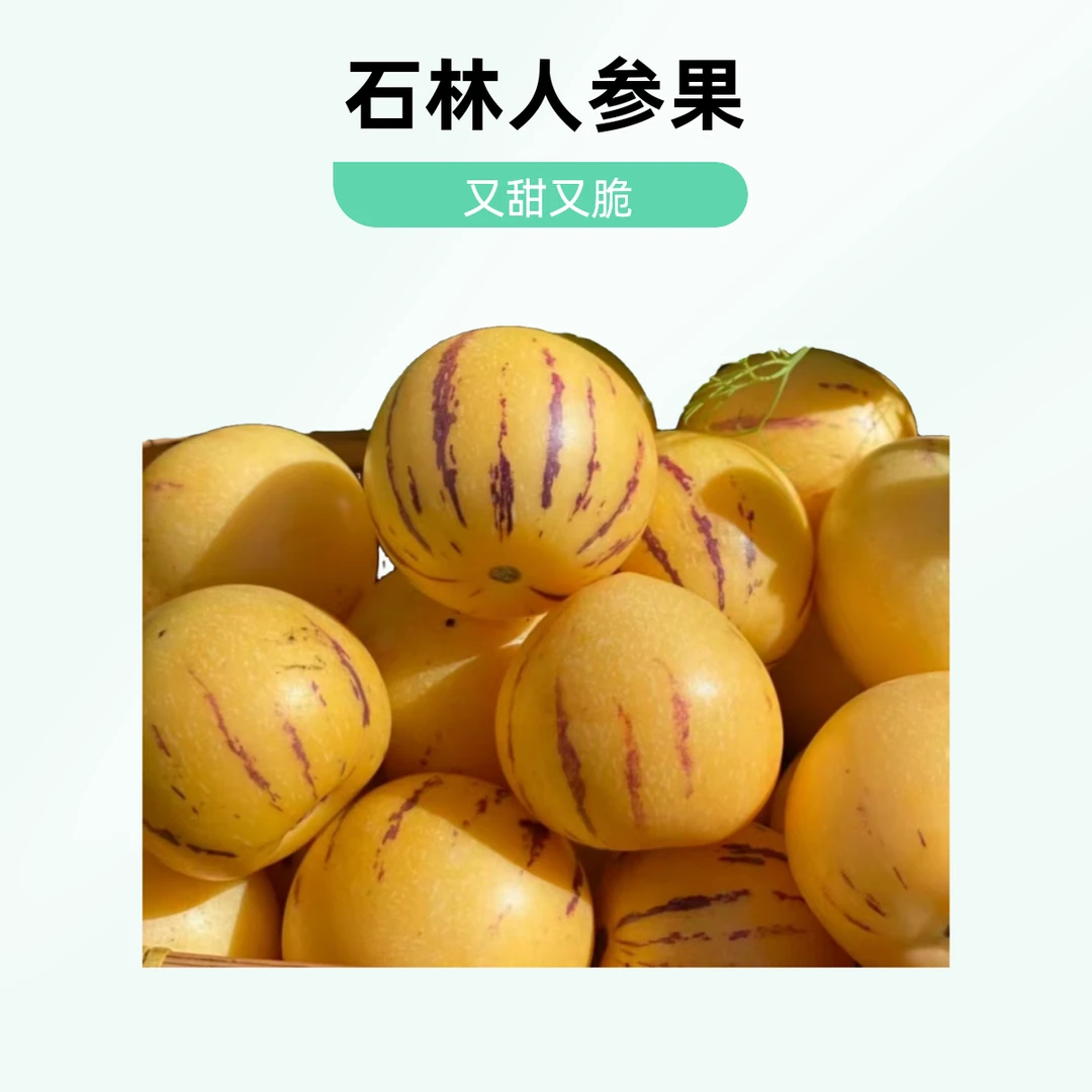 云南石林人参果大果黄鑫圆果超甜低糖水果2斤左右