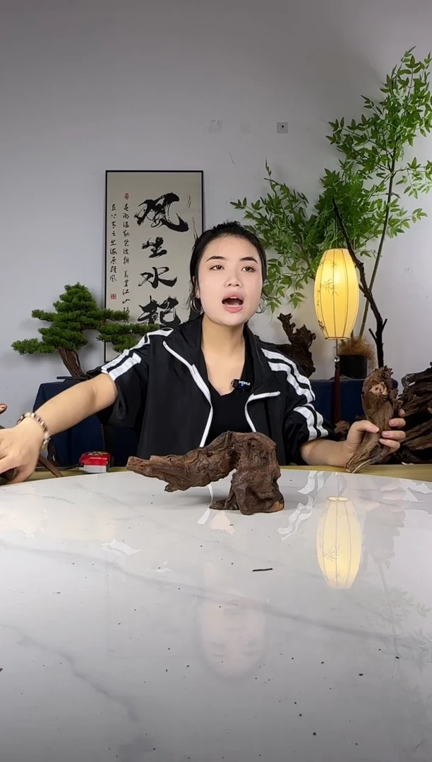小****者拍这个定向编号23