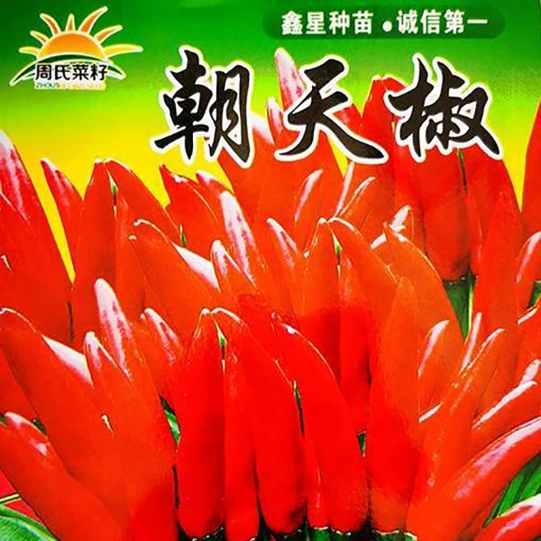 朝天椒辣椒种子易栽培四季可种高产小米辣南北方蔬菜种子庭院种植
