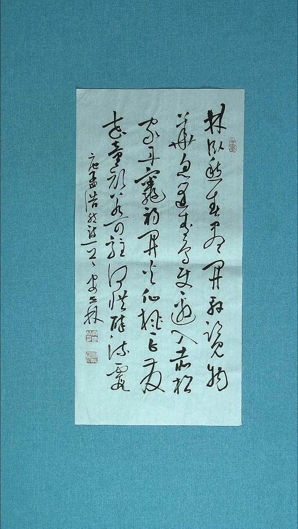 【闪购商品】书法253 甘肃安世林中书协69*34