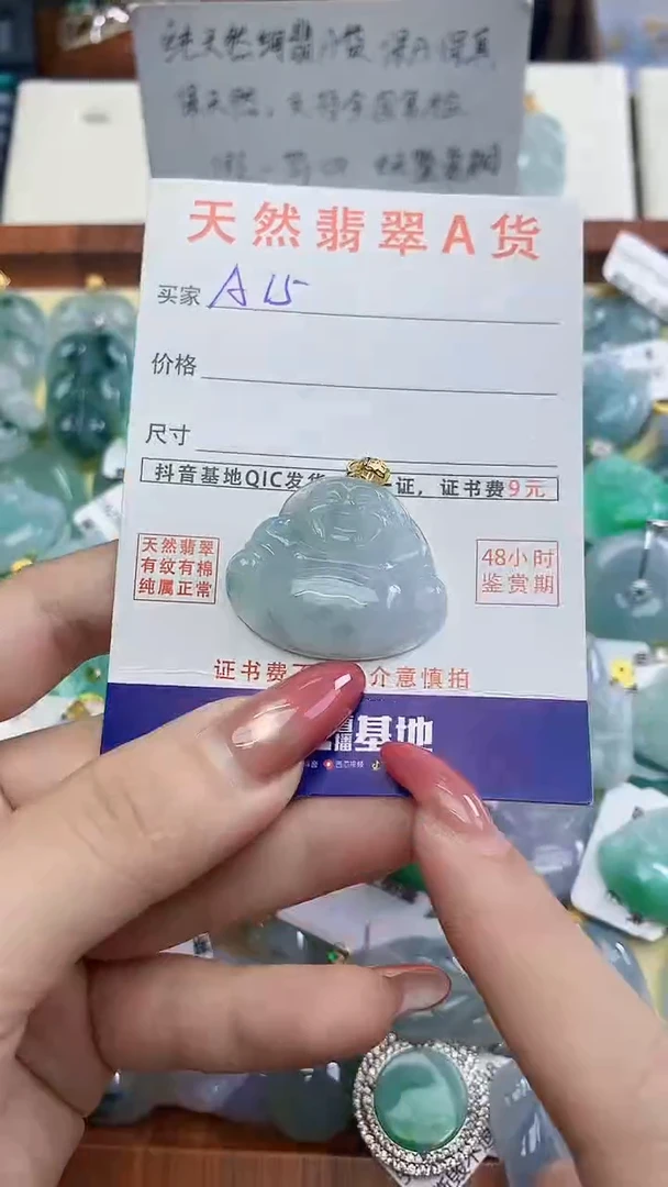 颈饰未镶嵌翡翠天然A货翡翠挂件