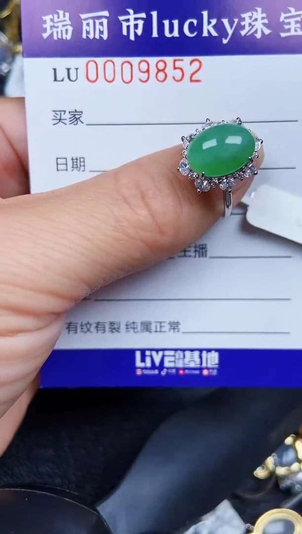 翡翠银S925镶嵌颈饰9852