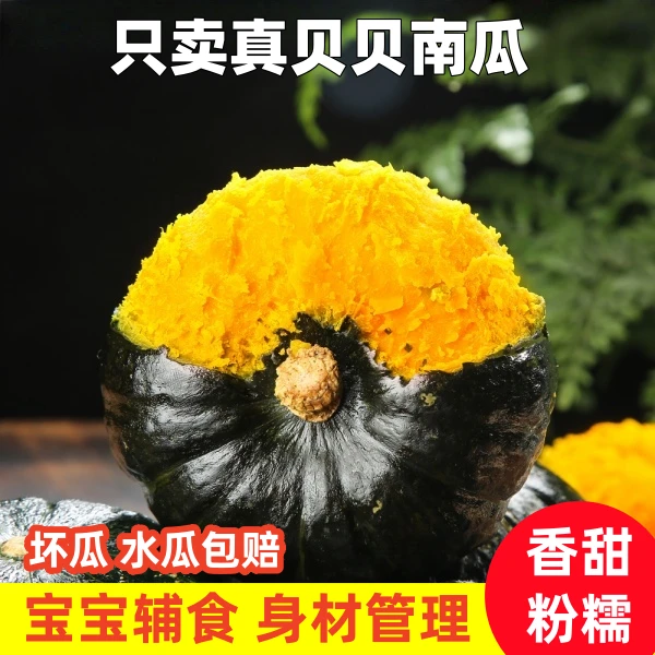 【精品大果 不粉包赔】真贝贝南瓜粉糯香甜板栗味现摘现发好吃不贵