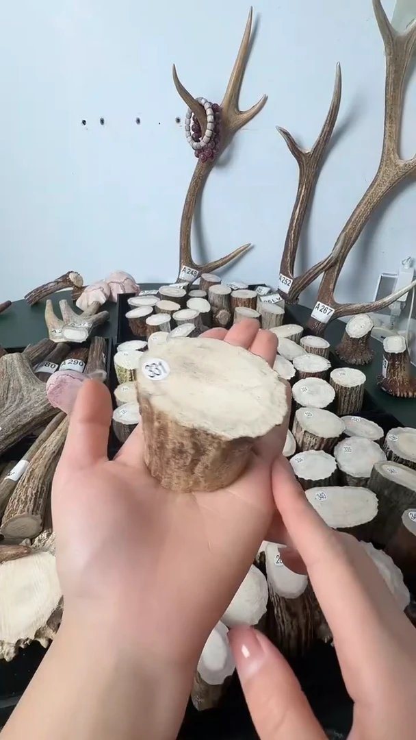 原皮鹿角雕刻料高密度