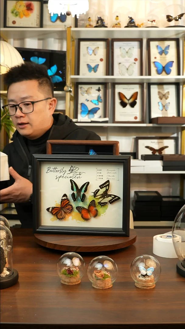 四色蝴蝶组合（10寸欧式黑框）A552