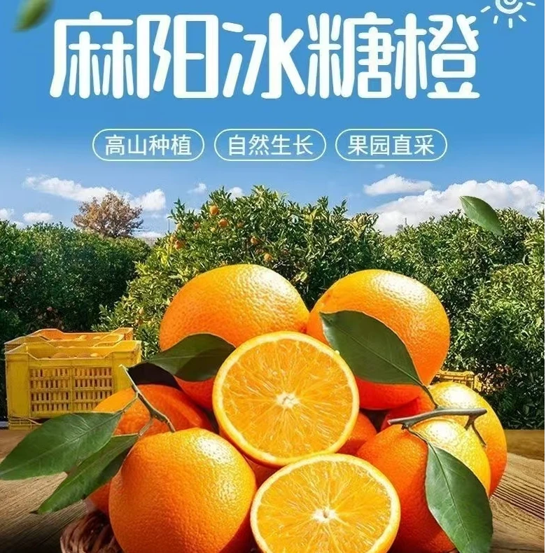 湖南麻阳高山冰糖橙新鲜现摘应季水果皮薄肉嫩酸甜多汁青黄果