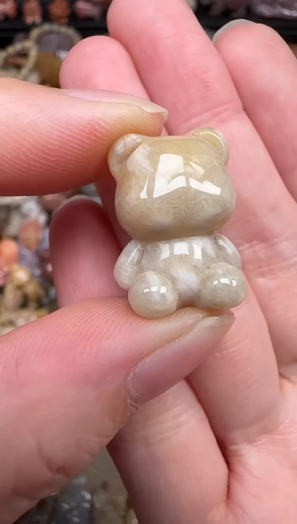 硅化珊瑚（珊瑚玉）未镶嵌颈饰100