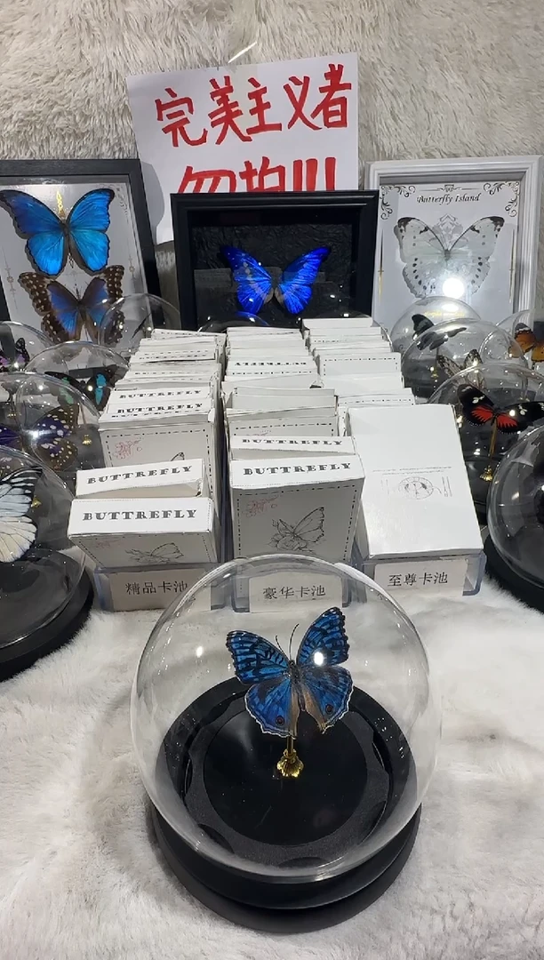 木深**辰优雅眼蛱蝶