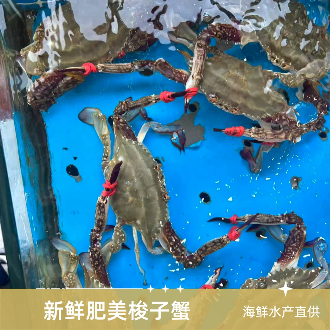 2【保鲜不保活】精品本地公蟹4-5两一斤2到3只