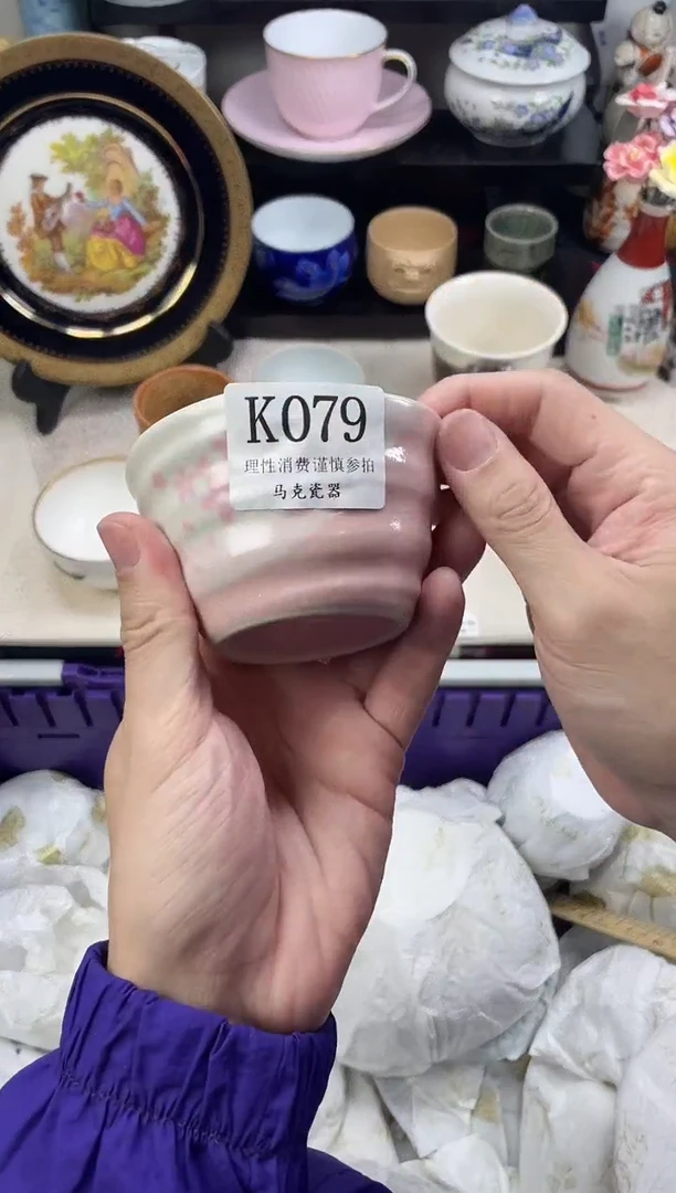 瓷片菀                K079