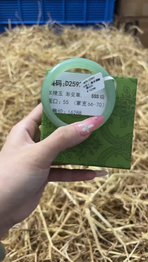 未镶嵌手镯石英质玉D2592