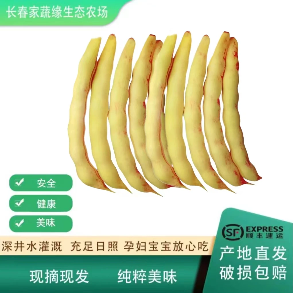 【家蔬缘自产】黄金勾豆角顺丰包邮现摘现发