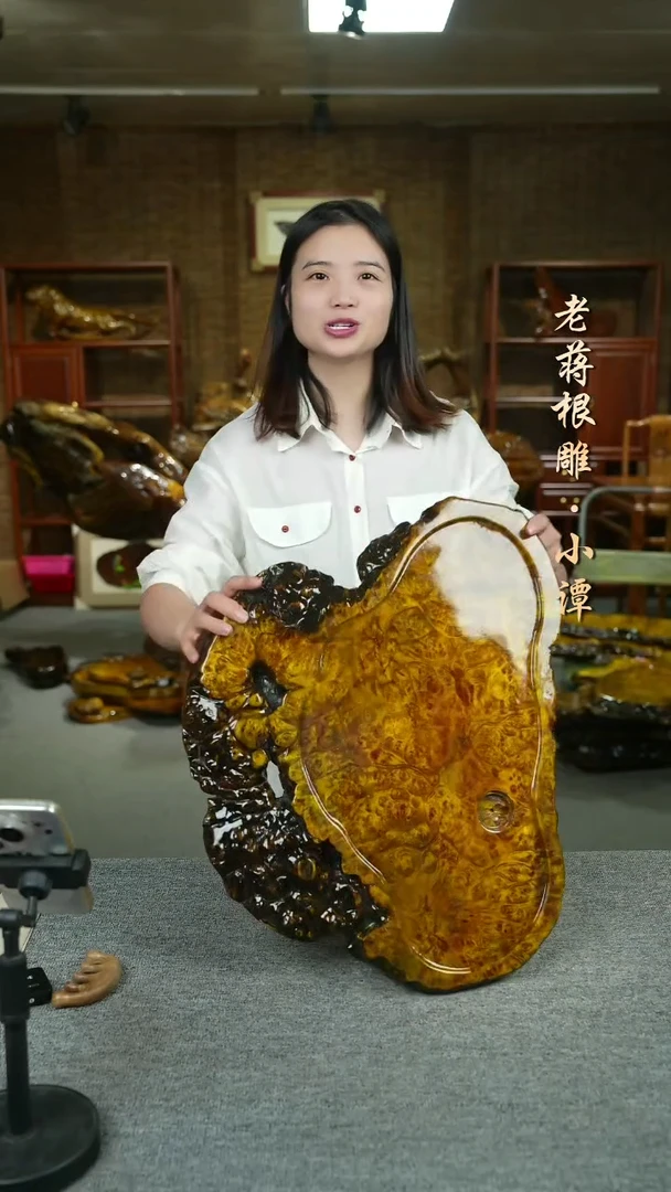 黄金樟53-40-4.5