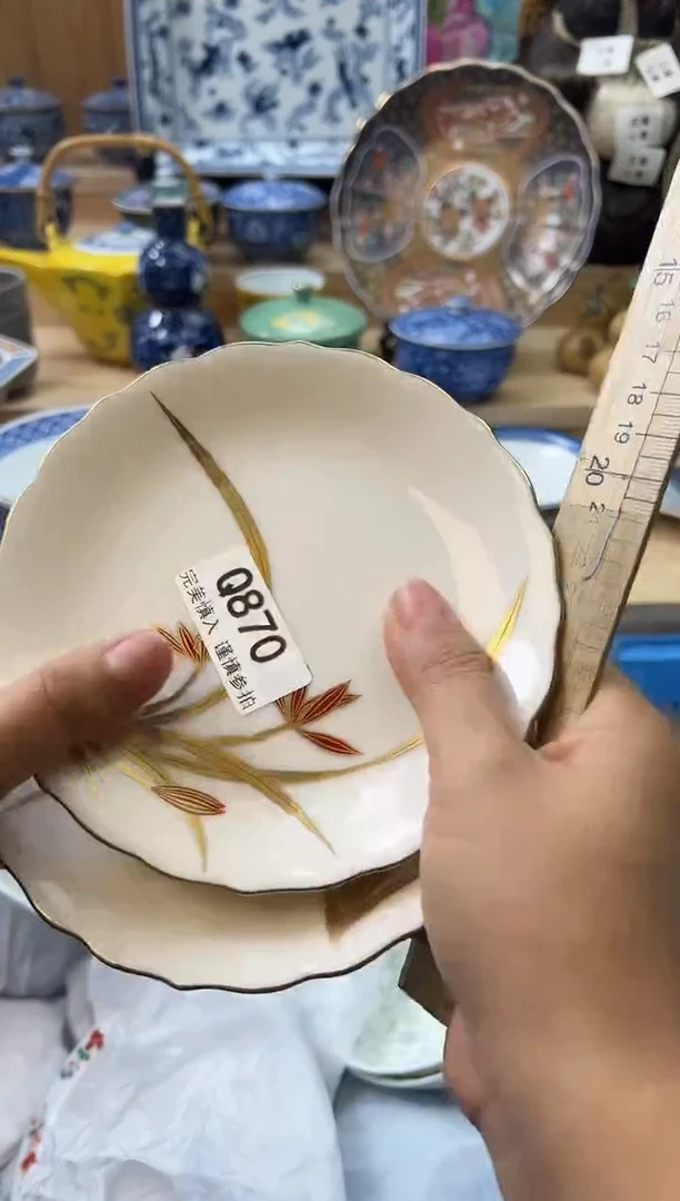 【闪购商品】瓷片870qqqqqqqqqqqq