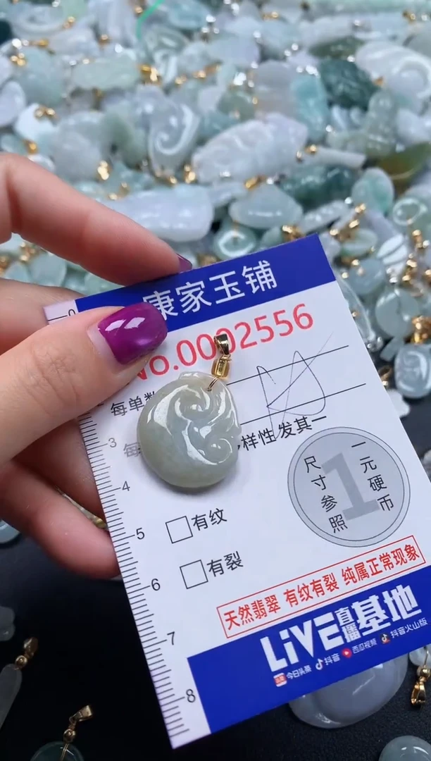 颈饰未镶嵌翡翠2556