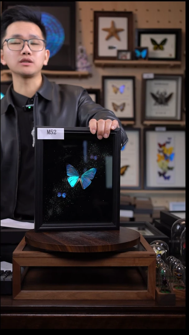 西风闪蝶+雅灰组合银河款M52