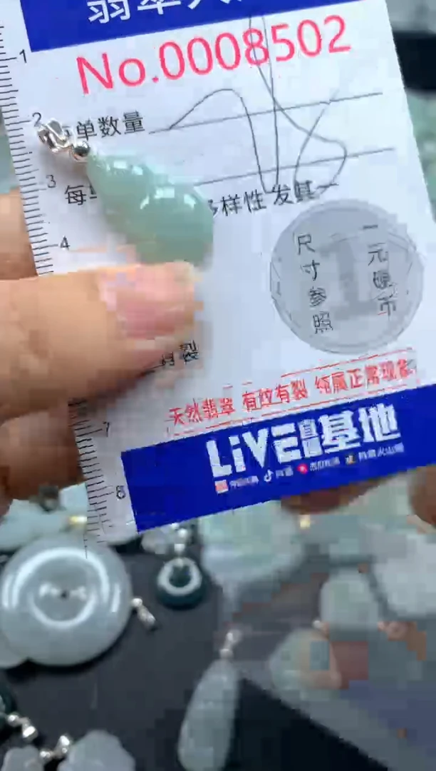 翡翠未镶嵌吊坠(不含链)8502