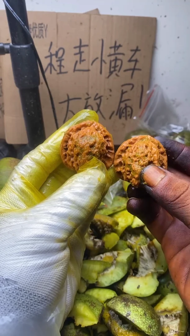 平谷粗筋不退不换lyx37