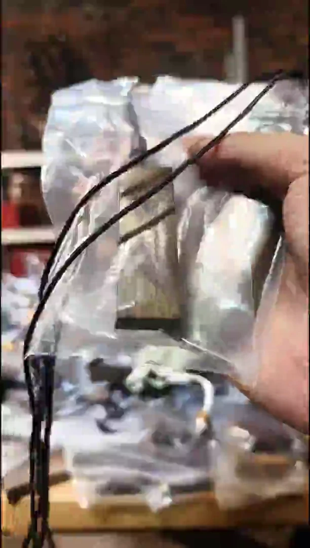金丝楠   小金条