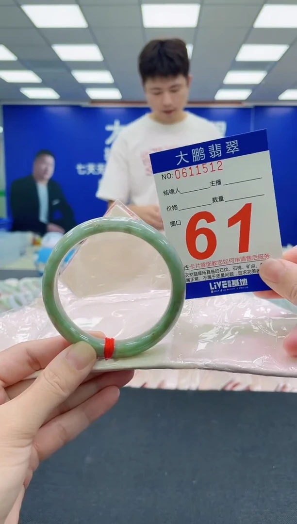 未镶嵌手镯翡翠AAAAAAAAA