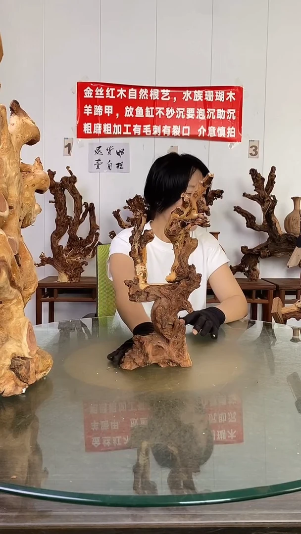 香榧木大**?金丝红木   羊蹄甲