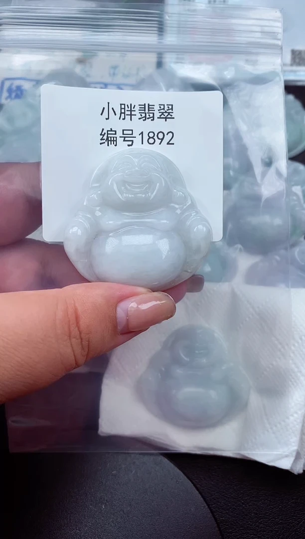 翡翠未镶嵌颈饰缅甸天然A货翡翠1892