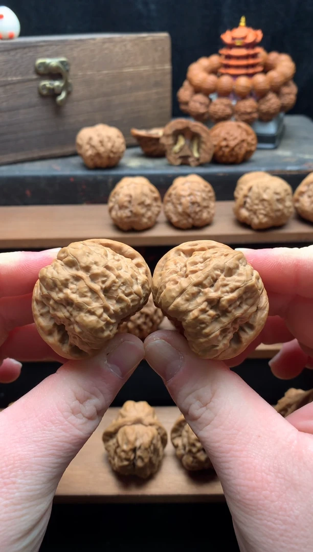 核桃1号 边42肚42大凹底天意神珠蛤蟆头