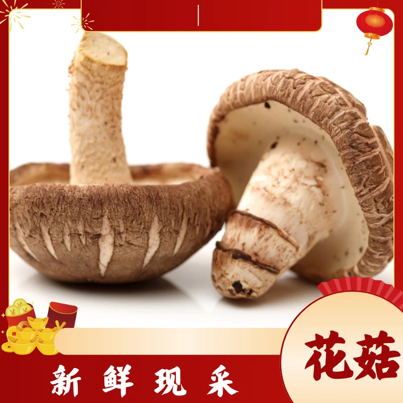 新鲜花菇2斤（香菇）