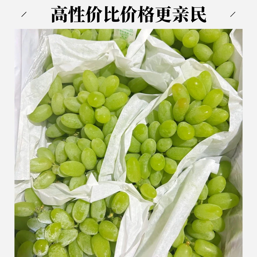 【顺丰包邮】正宗运城新鲜水果现摘现发产地直发青提葡萄皮薄多汁