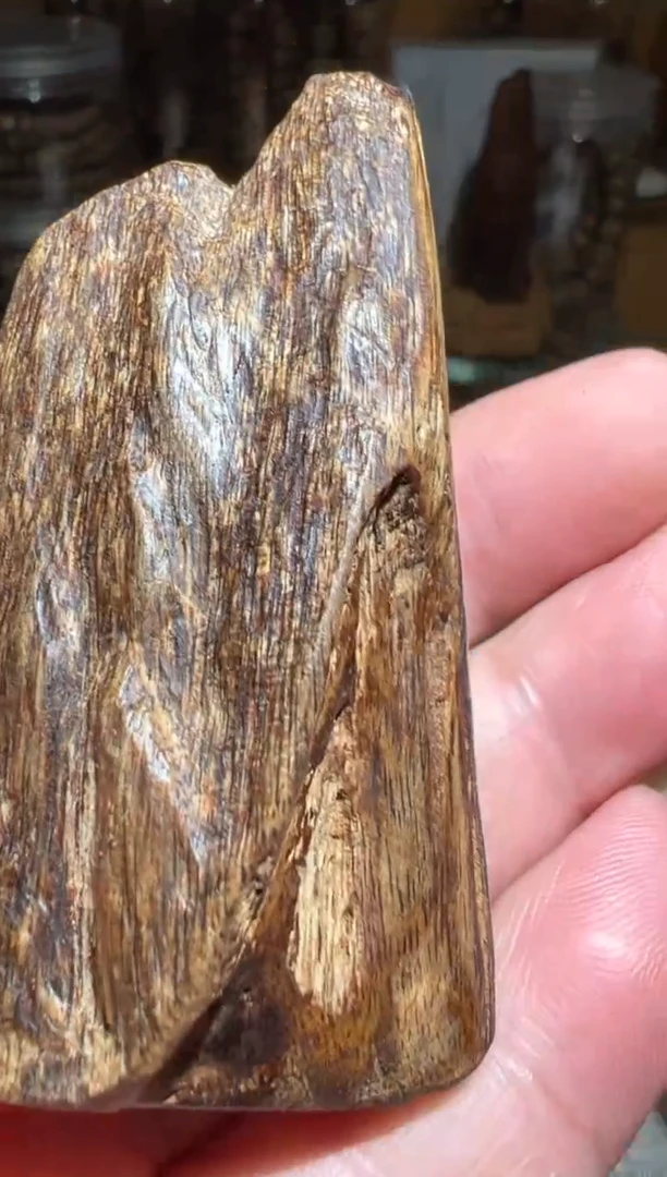 沉香碎屑沉香东马16.8克