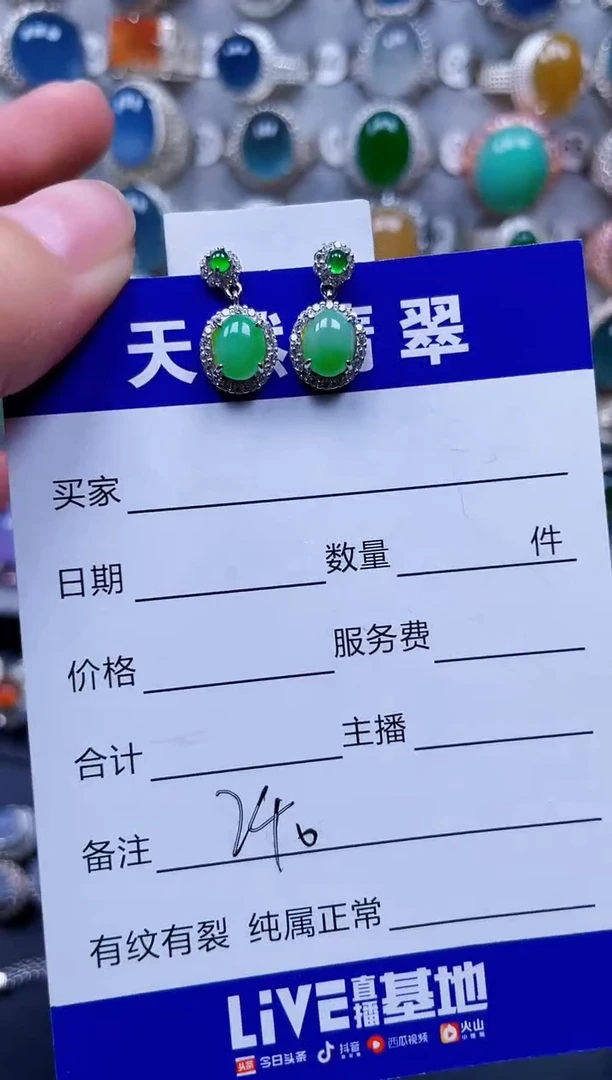 银S925镶嵌翡翠耳饰240