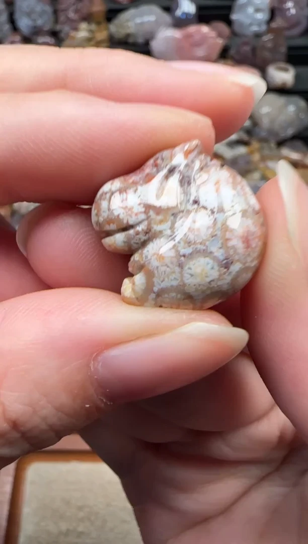 颈饰未镶嵌硅化珊瑚（珊瑚玉）529