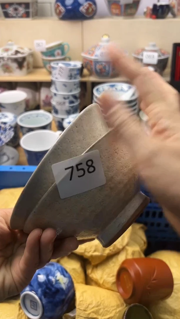 瓷片小*你好你好你好你好你好你好