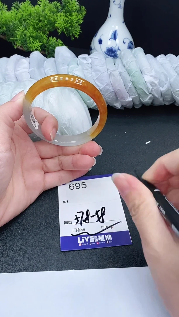 未镶嵌手镯翡翠695