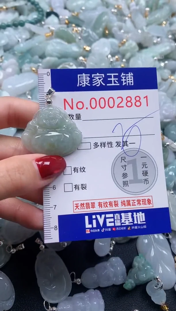 颈饰未镶嵌翡翠2881