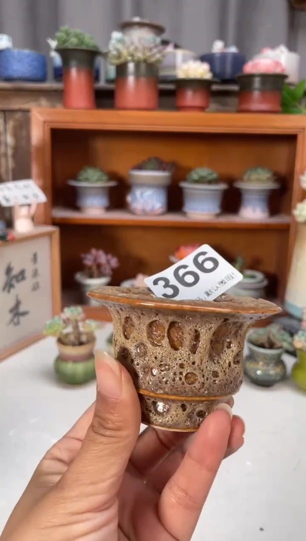 瓷片366知木小芳花盆