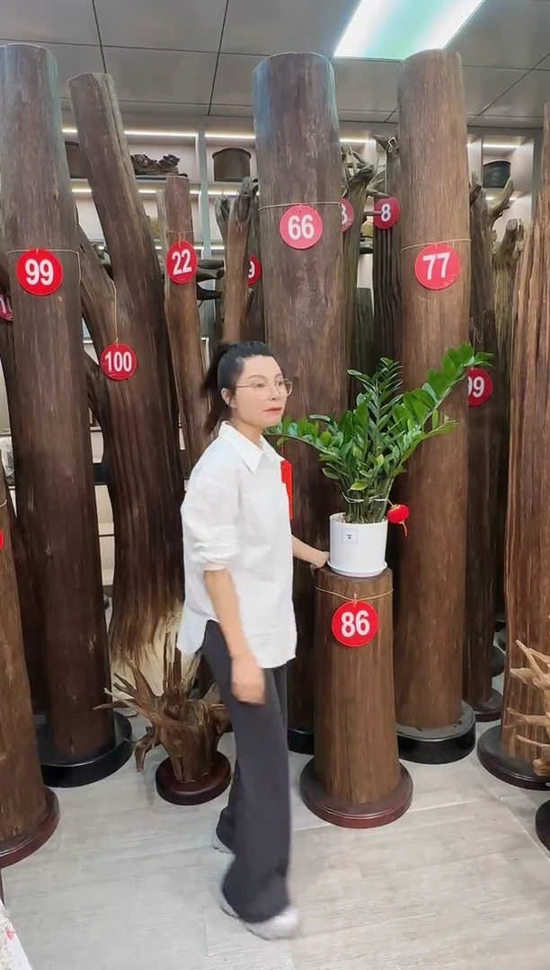 沉香沉香枕用****1沉香原料 七天无理由