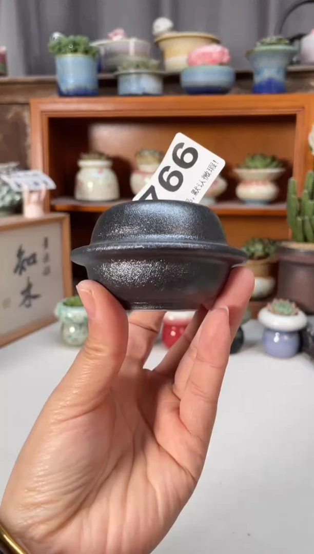 瓷片766知木小芳花盆